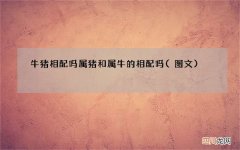 图文 牛猪相配吗 属猪和属牛的相配吗