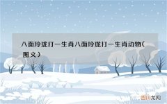 图文 八面玲珑打一生肖 八面玲珑打一生肖动物