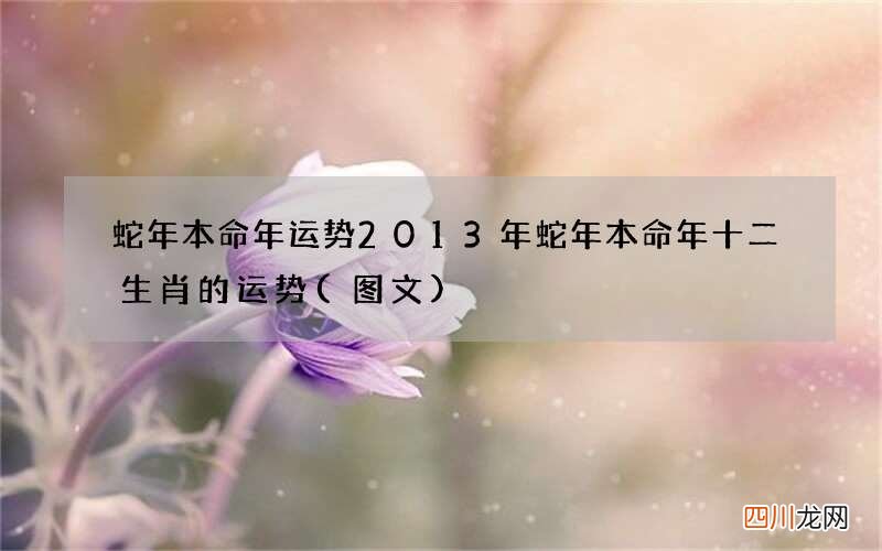 图文 蛇年本命年运势 2013年蛇年本命年十二生肖的运势