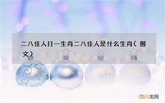 图文 二八佳人打一生肖 二八佳人是什么生肖