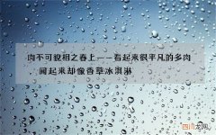 肉不可貌相之春上——看起来很平凡的多肉，闻起来却像香草冰淇淋
