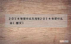 图文 2014年是什么生肖年 2014年是什么命