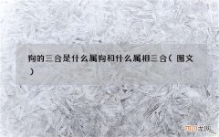 图文 狗的三合是什么 属狗和什么属相三合