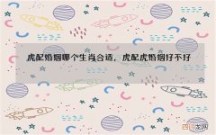 虎配婚姻哪个生肖合适，虎配虎婚姻好不好