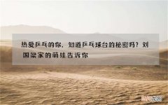 热爱乒乓的你，知道乒乓球台的秘密吗？刘国梁家的萌娃告诉你