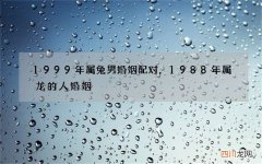 1999年属兔男婚姻配对，1988年属龙的人婚姻