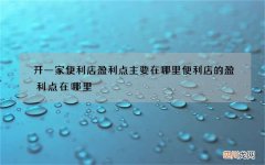 开一家便利店盈利点主要在哪里 便利店的盈利点在哪里