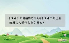 图文 1947年属猪的是什么命 1947年出生的属猪人是什么命