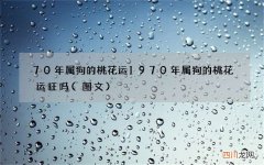 图文 70年属狗的桃花运 1970年属狗的桃花运旺吗