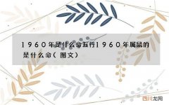 图文 1960年是什么命五行 1960年属鼠的是什么命