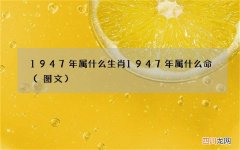 图文 1947年属什么生肖 1947年属什么命