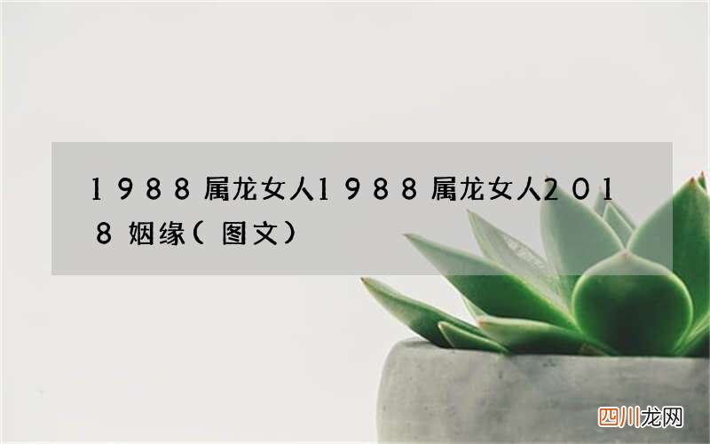 图文 1988属龙女人 1988属龙女人2018姻缘