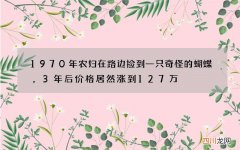 1970年农妇在路边捡到一只奇怪的蝴蝶，3年后价格居然涨到127万