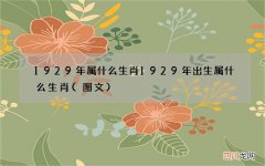 图文 1929年属什么生肖 1929年出生属什么生肖