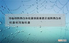 河南和陕西白水杜康到底谁更正统 陕西白水杜康和河南杜康