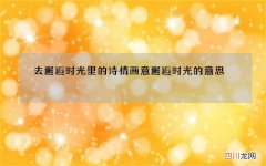 去邂逅时光里的诗情画意 邂逅时光的意思