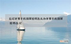 忘记苹果手机锁屏密码怎么办 苹果手机锁屏密码忘记