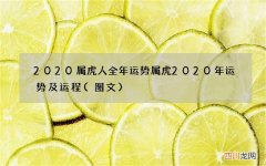 图文 2020属虎人全年运势 属虎2020年运势及运程