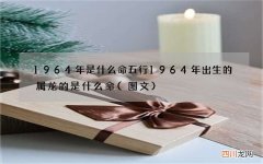 图文 1964年是什么命五行 1964年出生的属龙的是什么命