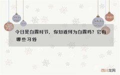 今日是白露时节，你知道何为白露吗？它有哪些习俗