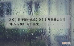 图文 2015年是什么命 2015年是什么生肖年五行属什么