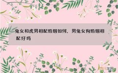 兔女和虎男相配婚姻如何，男兔女狗婚姻相配好吗