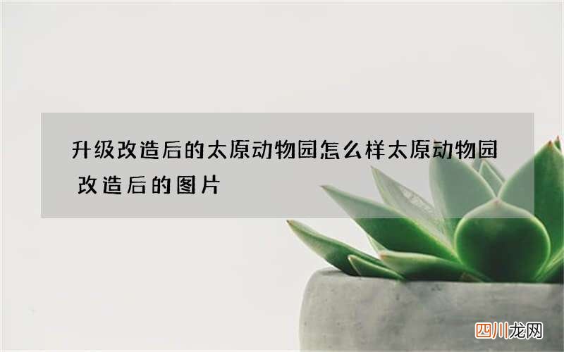 升级改造后的太原动物园怎么样 太原动物园改造后的图片