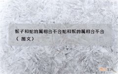 图文 猴子和蛇的属相合不合 蛇和猴的属相合不合