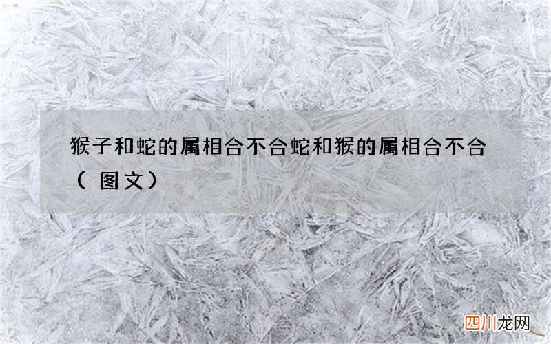 图文 猴子和蛇的属相合不合 蛇和猴的属相合不合