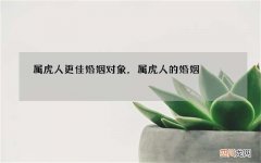 属虎人更佳婚姻对象，属虎人的婚姻