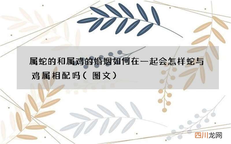 图文 属蛇的和属鸡的婚姻如何在一起会怎样 蛇与鸡属相配吗