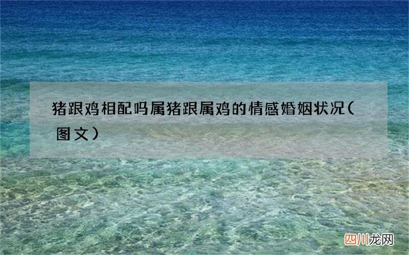 图文 猪跟鸡相配吗 属猪跟属鸡的情感婚姻状况