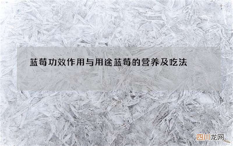 蓝莓功效作用与用途 蓝莓的营养及吃法