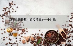 忍不住摘抄其中的片段 摘抄一个片段