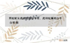 男蛇配女虎的婚姻好不好，虎和蛇属相合不合婚姻