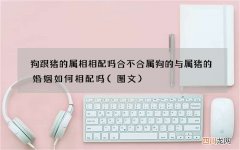 图文 狗跟猪的属相相配吗合不合 属狗的与属猪的婚姻如何相配吗