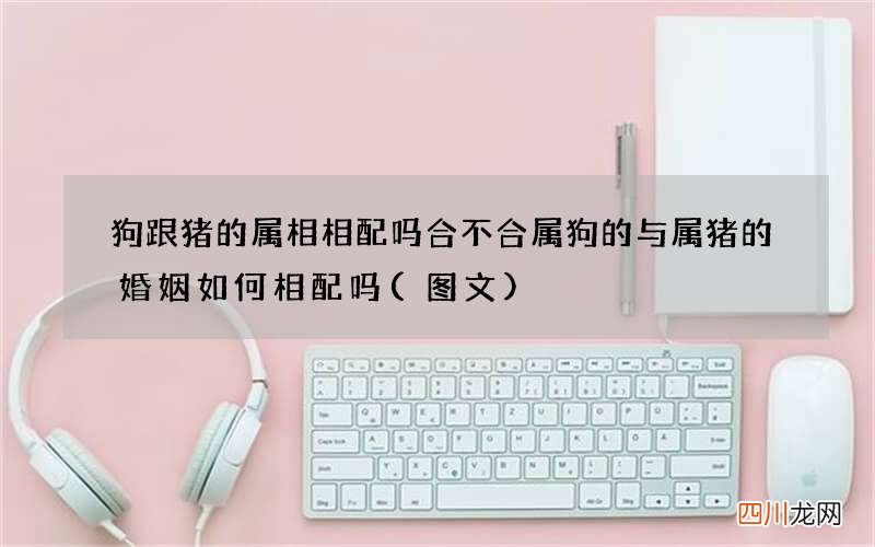 图文 狗跟猪的属相相配吗合不合 属狗的与属猪的婚姻如何相配吗