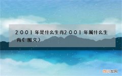 图文 2001年是什么生肖 2001年属什么生肖