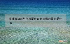 油桃的功效与作用是什么 吃油桃的禁忌是什么