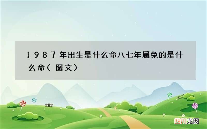 图文 1987年出生是什么命 八七年属兔的是什么命