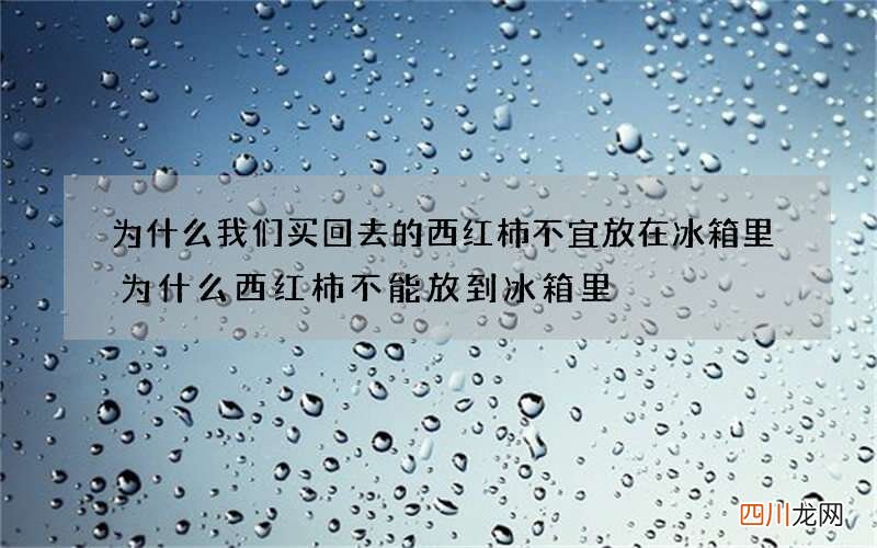 为什么我们买回去的西红柿不宜放在冰箱里 为什么西红柿不能放到冰箱里