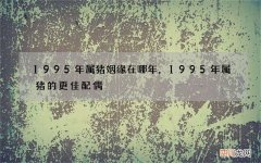 1995年属猪姻缘在哪年，1995年属猪的更佳配偶