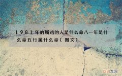 图文 1981年的属鸡的人是什么命 八一年是什么命五行属什么命