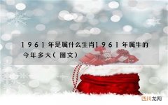 图文 1961年是属什么生肖 1961年属牛的今年多大
