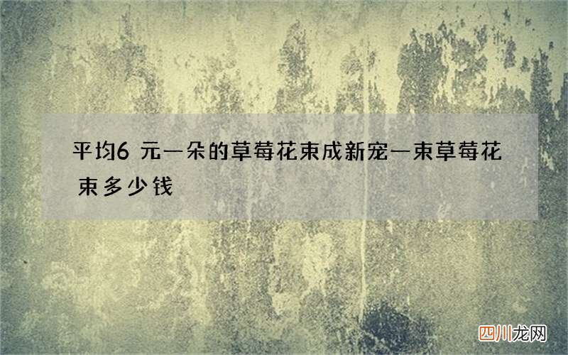 平均6元一朵的草莓花束成新宠 一束草莓花束多少钱
