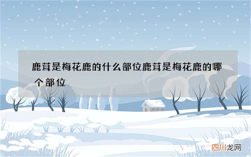 鹿茸是梅花鹿的什么部位 鹿茸是梅花鹿的哪个部位