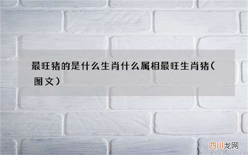 图文 最旺猪的是什么生肖 什么属相最旺生肖猪