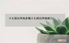十七级台风有多强 十七级台风的威力