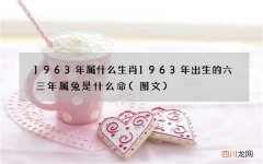 图文 1963年属什么生肖 1963年出生的六三年属兔是什么命