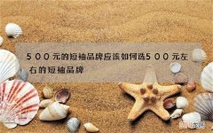 500元的短袖品牌应该如何选 500元左右的短袖品牌